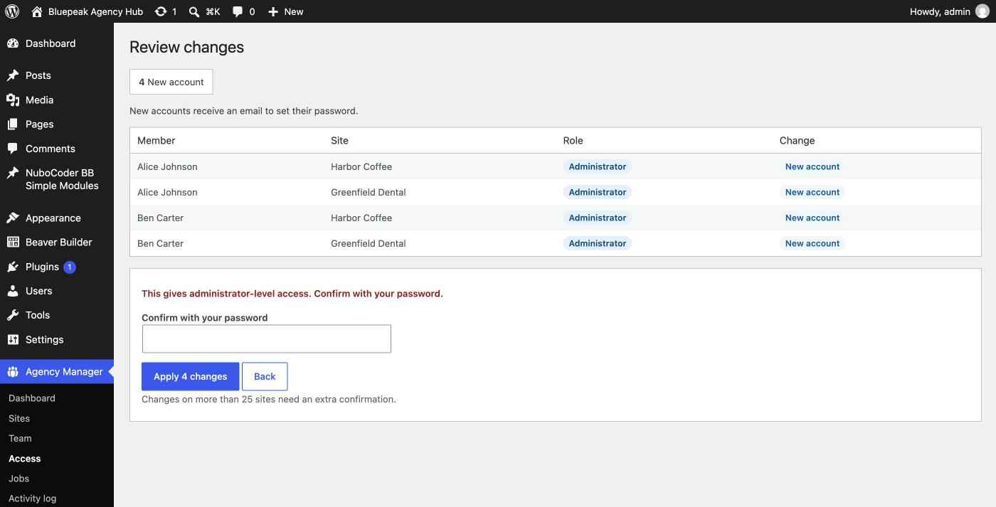 Review screen asking for the user's password before granting an administrator role