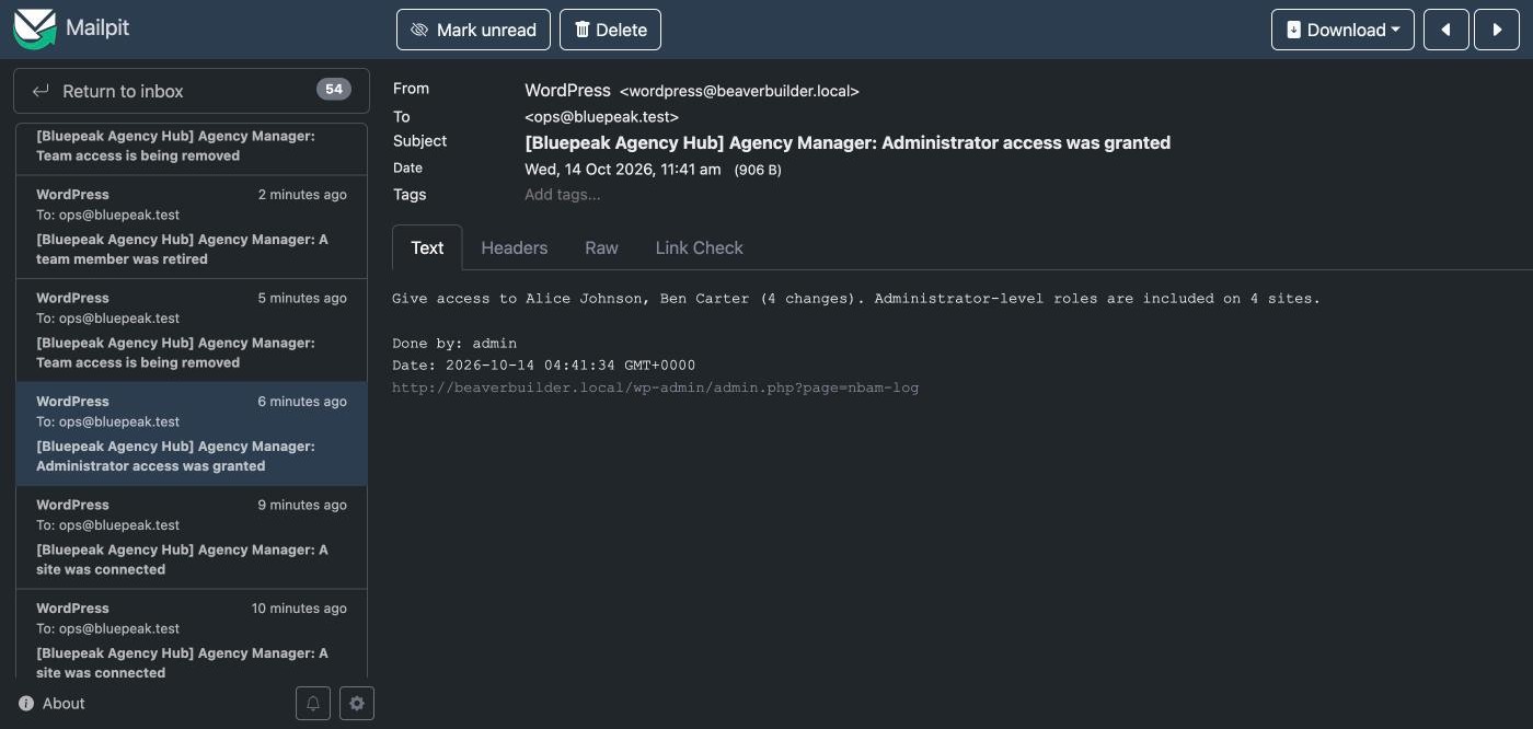 Example email: administrator access was granted