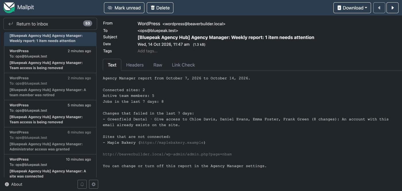 Weekly report email example