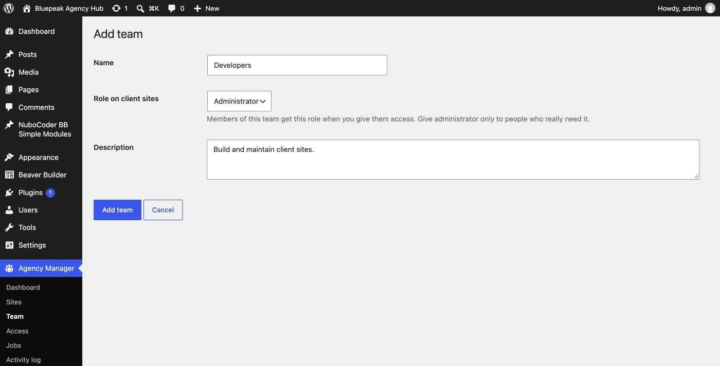 Add team form with name, role and description
